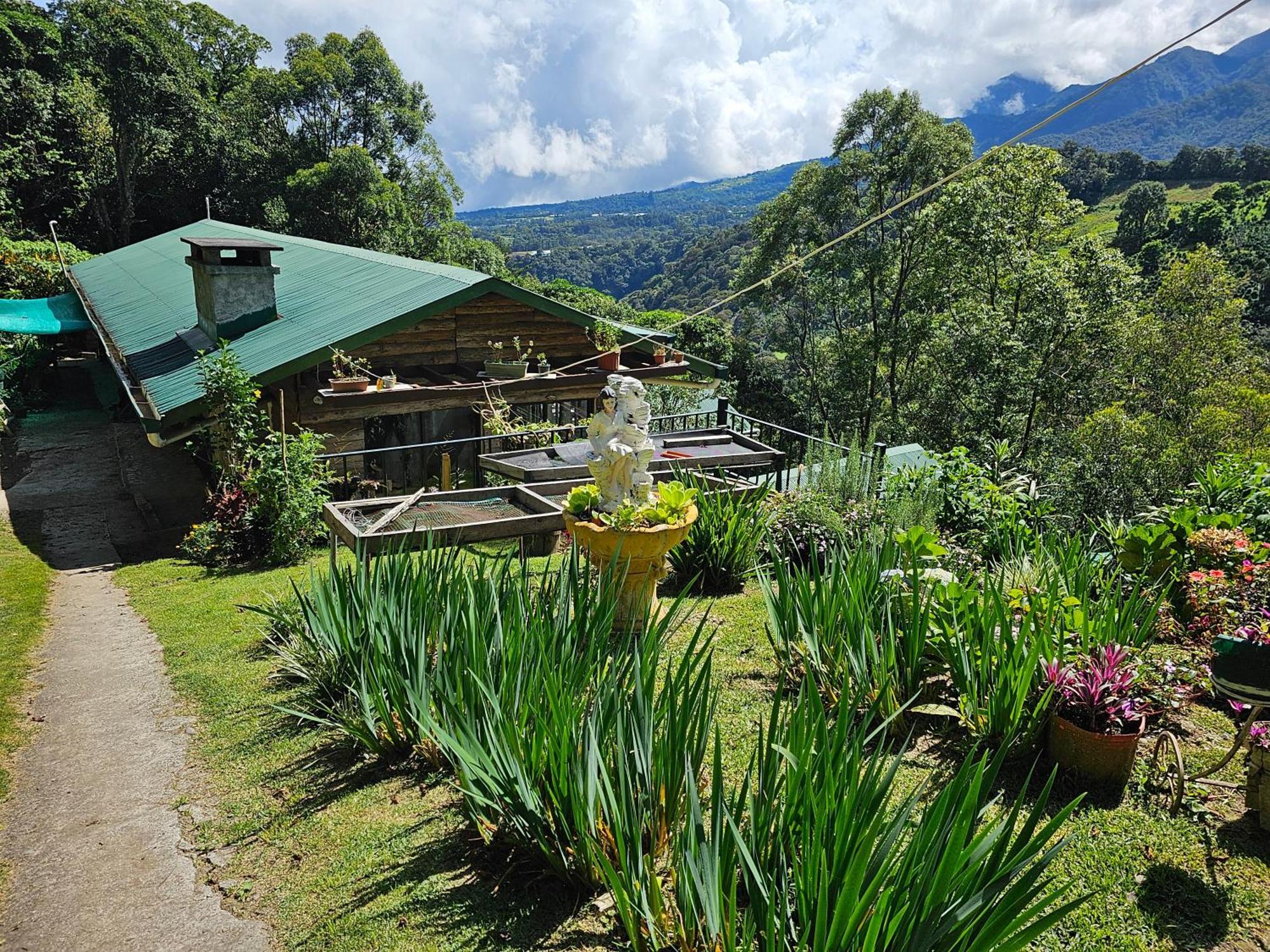 Bed and Breakfast Eco Horqueta Бокете Экстерьер фото